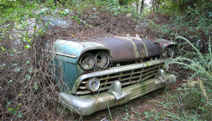 1954 Cadillac Fleetwood